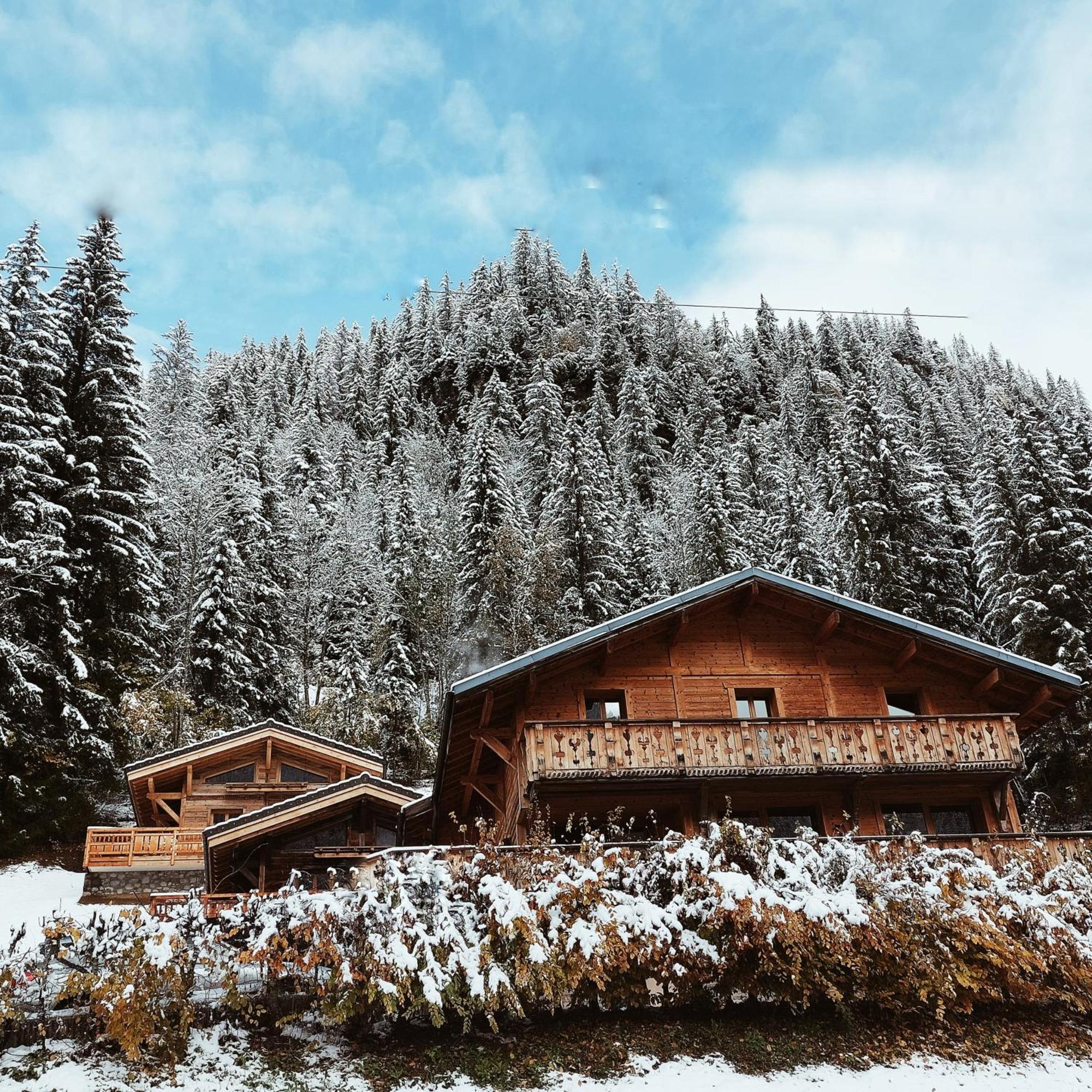 Savoya Lodges Châtel Esterno foto